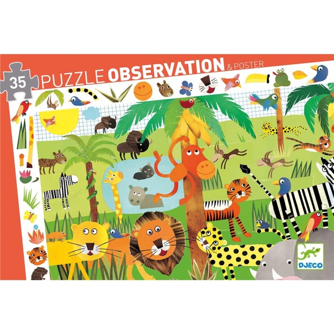 Observación La Jungla - Imagen 2